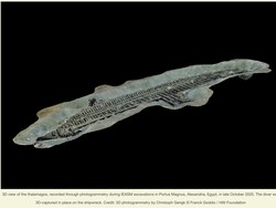 Pertama! Kapal Pesiar Mesir Kuno Ditemukan Dekat Pantai Alexandria