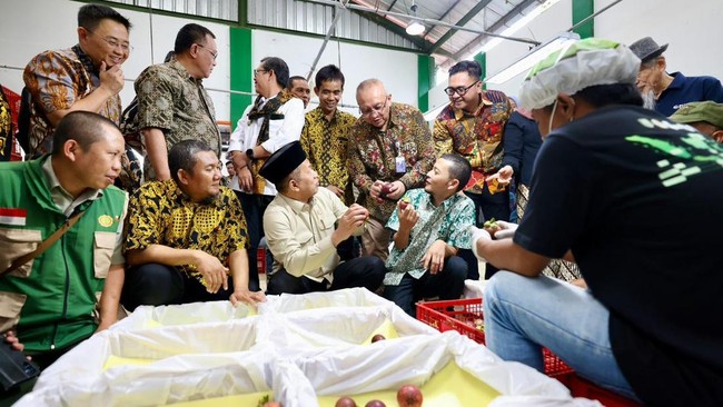 Menkop Ferry Juliantono mengatakan ekspor manggis asal Subang ke China merupakan hasil pembinaan berkelanjutan yang dimulai dari pendampingan Kementan.