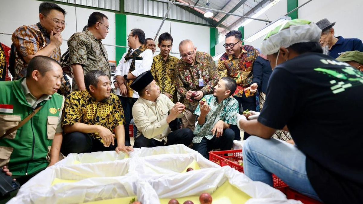 Manggis Subang Tembus China, LPDB Koperasi Siap Kucur Modal Rp20 M
