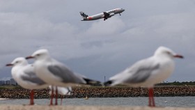 Seagulls stand on a wall overlooking the Sydney Airport as a Jetstar Airbus A320 takes off on the day Qantas Group announced their half-year results, in Sydney, Australia, February 26, 2026. REUTERS/Hollie Adams