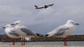 Maskapai Jetstar dan Qatar Airways Hampir Tabrakan di Bandara Sydney