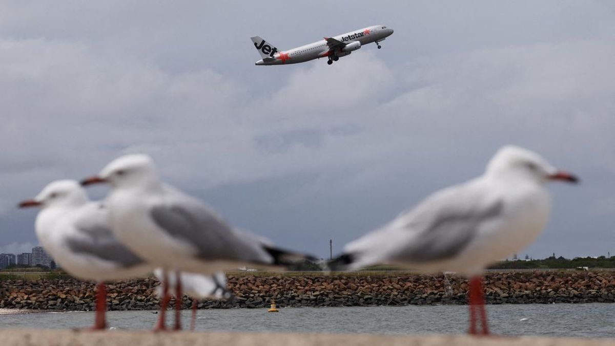 Maskapai Jetstar dan Qatar Airways Hampir Tabrakan di Bandara Sydney