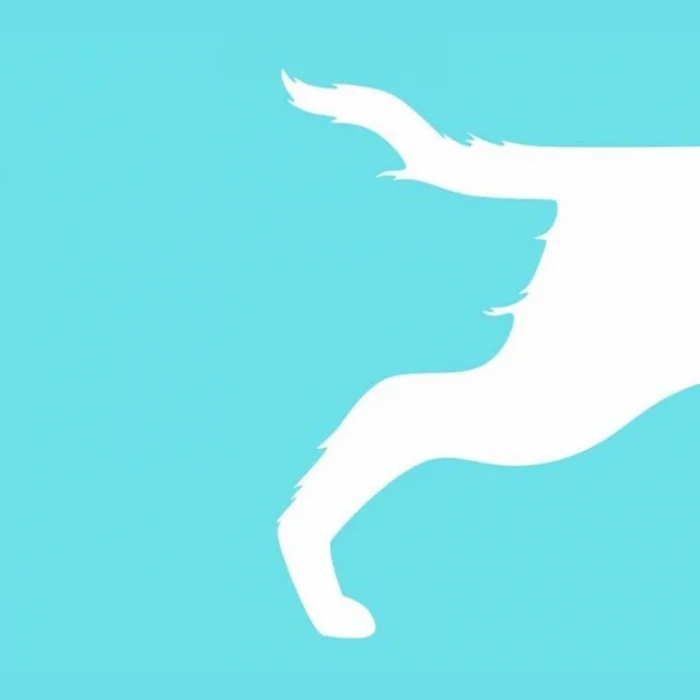 Tes Kepribadian: Gambar yang Kamu Lihat Pertama Ungkap Cara Kamu Hadapi Ujian Hidup