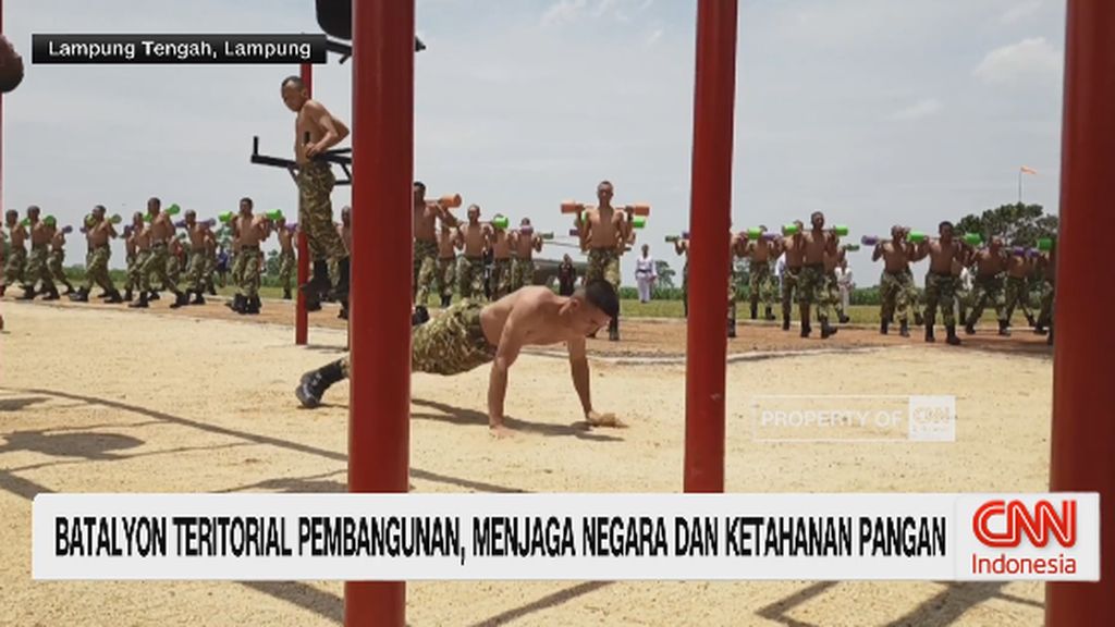 VIDEO: Batalyon Teritorial Pembangunan, Jaga Negara dan Ketahanan Pangan