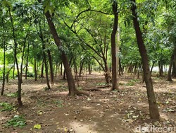 Sudut Gelap Taman Kota Cawang yang Bikin Tercengang