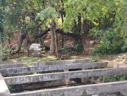 Petugas Sempat Ciduk 4 Pria di Taman Kota Cawang Diduga Jadi Sarang Asusila