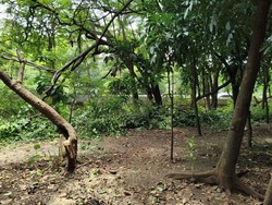 Pengamanan Taman Kota Cawang Diperketat Usai Diduga Jadi Sarang Asusila