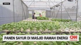 VIDEO: Ramadhan Hijau, Masjid di Jakarta Bisa Panen Sayur Tiap Pekan