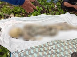 Lagi, Warga Pulau Moyo Sumbawa Temukan Jasad Tinggal Kerangka