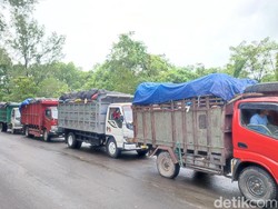 Sopir Truk Sampah Lega TPA Suwung Dibuka Lagi Usai Antre Berhari-hari
