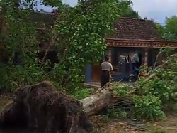 Hujan dan Angin Kencang Terjang Ngawi, 33 Rumah Rusak