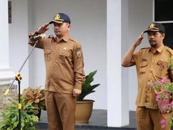 Kadis Perkebunan dan Peternakan Sumut Zakir Daulay Mundur, Ini Alasannya