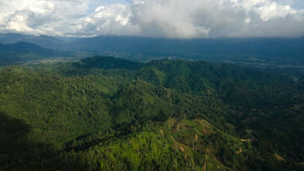 LTKL Buka Sinergi Wujudkan Kabupaten Lestari yang Sejahterakan Warga