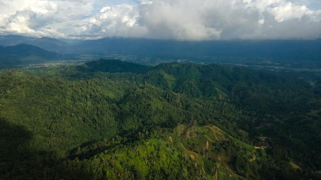Kolaborasi itu diharapkan dapat mewujudkan ekonomi restoratif, dengan keyakinan sumber daya alam sebagai fondasi kesejahteraan dalam jangka panjang.