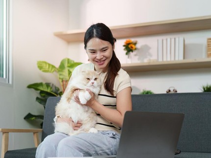 5 Karakteristik Orang Penyuka Kucing Menurut Penelitian