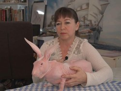 Video Dobby, Kelinci Tanpa Bulu yang Malang