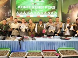 Cara Keji Sindikat Pemburu di Riau: Gajah Ditembak, Kepala Dipotong Kapak