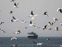 Mengenal Selat Hormuz: Letak, Kepemilikan, dan Perannya di Jalur Minyak Dunia