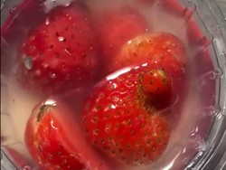 Ada Belatung di Puding MBG, Wali Murid SD Lowokwaru Malang Protes Keras