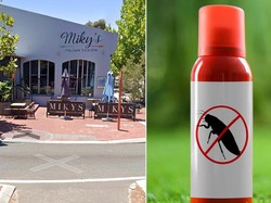 Dikira Jus Cranberry, Ternyata Obat Nyamuk! Dua Anak Dilarikan ke RS