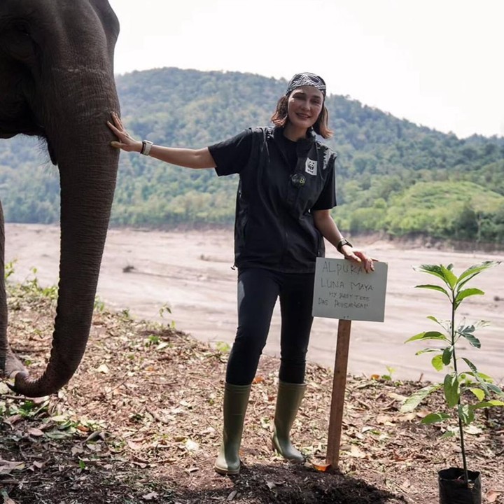 <p>Aksi Luna saat berkunjung ke Aceh ini memang patut kita acungi jempol. Istri dari aktor Maxime Bouttier itu terlihat ikut menanam pohon alpukat yang bertuliskan &ldquo;Alpukat Luna Maya&rdquo; sebagai bentuk dukungannya terhadap lingkungan. (Foto: Instagram @lunamaya)</p>