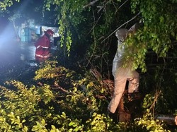 Hujan Deras-Angin Kencang Landa Denpasar, Kecepatan Capai 65 Km/Jam