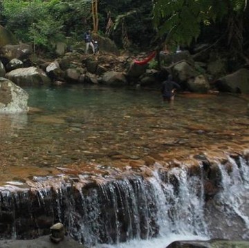 5 Wisata Alam di Bogor untuk Liburan Keluarga yang Seru dan Menyegarkan