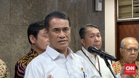 Amran Gelontorkan Rp10 T untuk Peremajaan Kelapa 870 Ribu Hektare