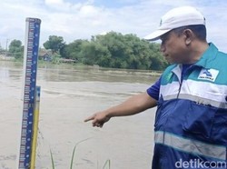 Waspada! Bengawan Solo di Bojonegoro Siaga Hijau