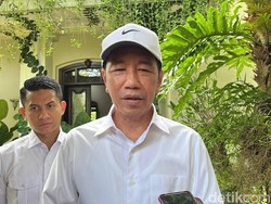 Jokowi Ungkap Isi Pertemuan Prabowo dan Eks Presiden: Bahas BoP-Tarif Dagang AS