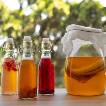 3 Waktu Terbaik Minum Kombucha agar Manfaatnya Maksimal untuk Kesehatan