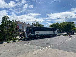 Hindari Motor, Bus Mustika Tabrak Pohon di Ring Road Selatan Jogja