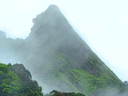 Tradisi Unik di Gunung Hormat Kaltara, Pendatang Baru Wajib Hormat