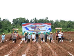 Kapolda Banten Ungkap Bulog Serap 2.997 Ton Jagung Hasil Panen pada 2025