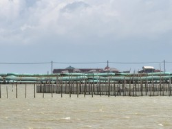 Kronologi Kapal Tongkang Hantam Jembatan-Rumah Warga Tambaksari Demak