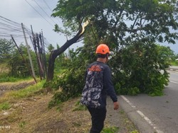 Angin Kencang Terjang Pasuruan, 1 Pelajar Tewas Tertimpa Pohon