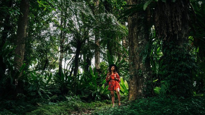 Sagitarius termasuk zodiak pecinta alam