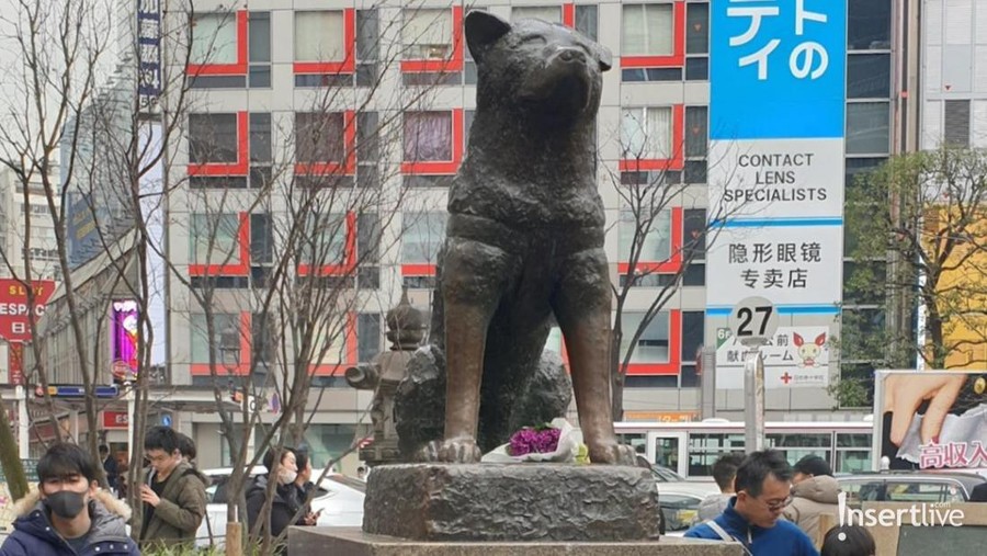 Hachiko