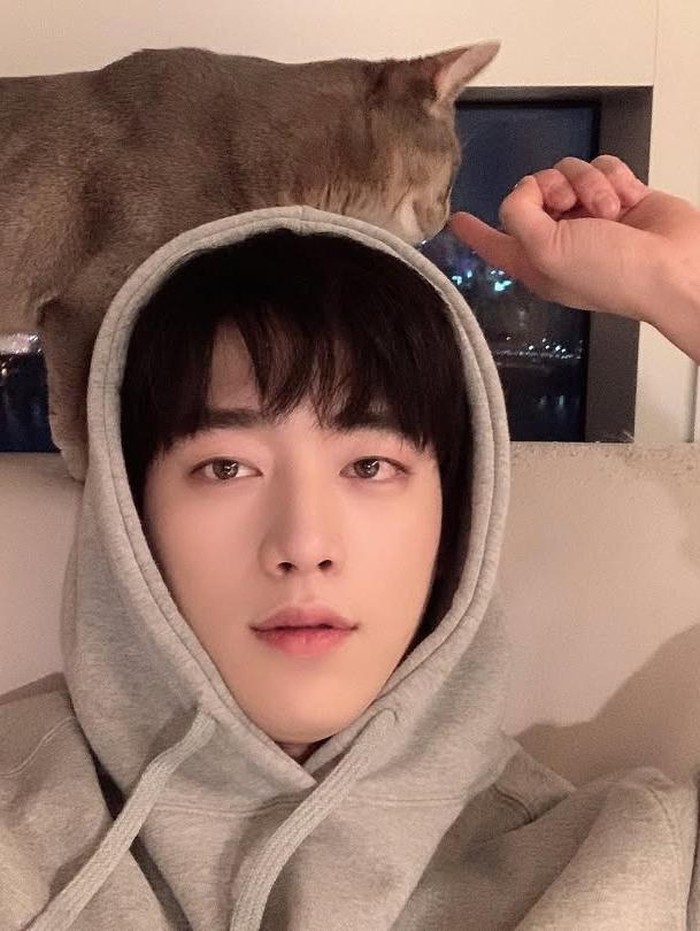 Aktor tampan yang satu ini dikenal sebagai pencinta kucing dan memelihara hewan menggemaskan tersebut lho, Beauties./ Foto: instagram.com/seokj1012