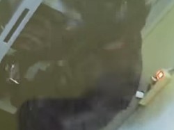 Rumah Warga Gunung Putri Bogor Dibobol, Emas Mulia 50 Gram Raib