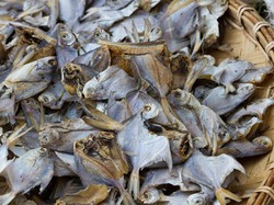 Dinas KPKP Masih Temukan Ikan Asin Berformalin di Jakarta, Kenali Bahayanya