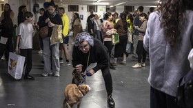 FOTO: Basement Parkir Tempat Sembunyi Warga Israel dari Rudal Iran
