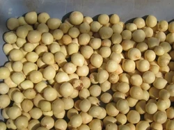 BRIN Olah Tanaman Ini Jadi Bahan Bakar Nabati, Bisa Jadi Energi Masa Depan?