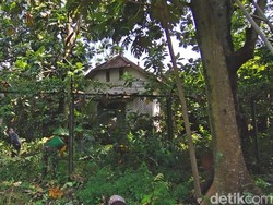 Melihat Bagian Dalam Keraton Solo yang Tak Terawat, Dipenuhi Semak-Lumut