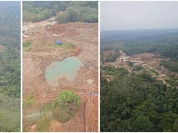 Polda Lampung Bongkar Tambang Emas Ilegal di Tengah Lahan PTPN