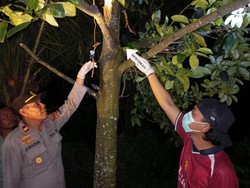 Pria Dompu Ditemukan Tewas Gantung Diri di Pohon Nangka Usai Buka Puasa