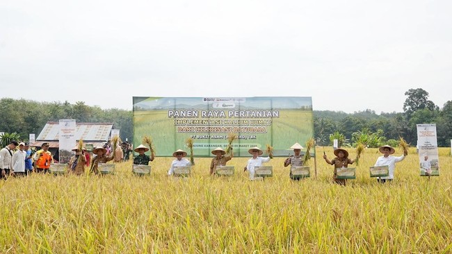 Hilirisasi Batu Bara untuk Pangan, RI Siapkan Pabrik 10.000 ton/Tahun
