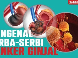 Waspadai Kanker Ginjal, Pola Makan Seperti Ini Bisa Tingkatkan Risiko