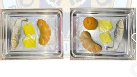 Viral MBG Bandeng Mentah di Bantul, BGN Klarifikasi Ikan Presto