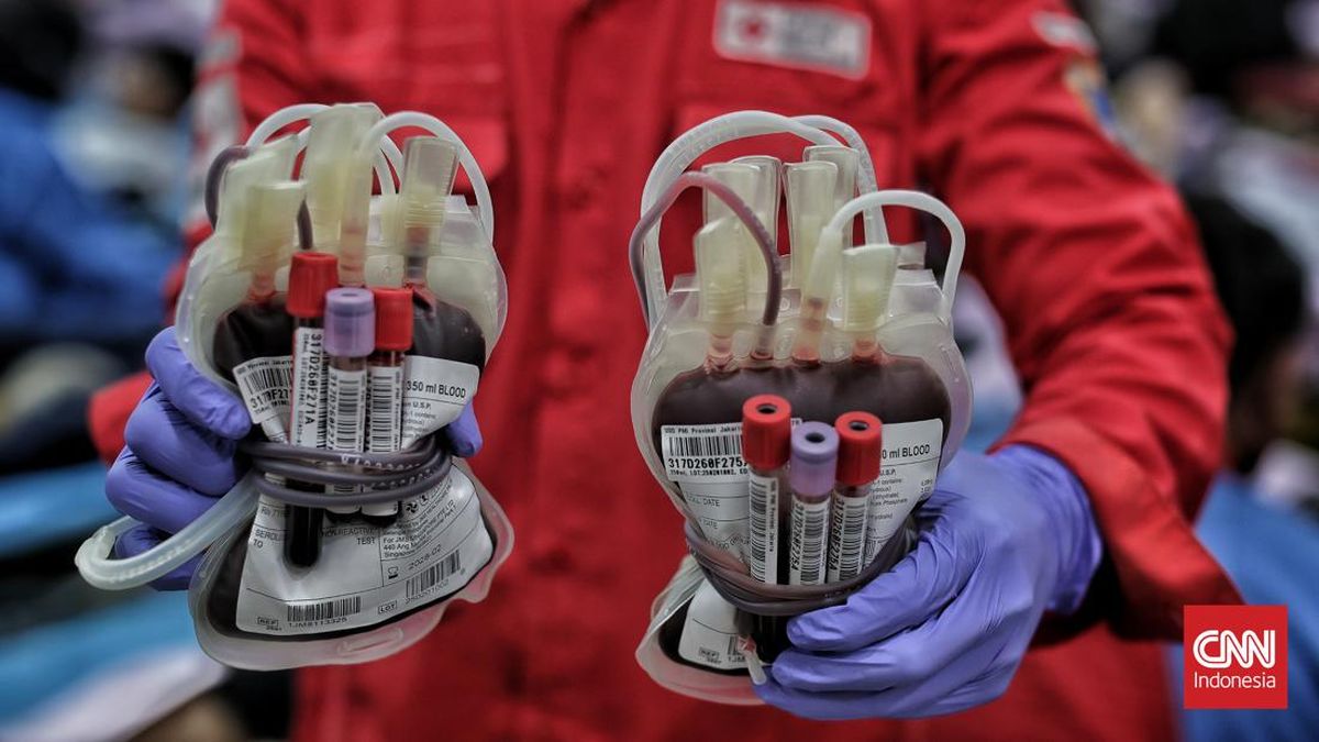 Ini Dia Syarat Donor Darah Plus Manfaatnya Bagi Pendonor